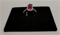 Anello Sangiorgi Preziosi Donna in Oro bianco Zaffiro AUDCZFIO